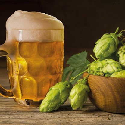 Ein frisch gezapftes Bier in einem traditionellen Glaskrug mit Schaumkrone steht auf einem Holztisch. Daneben liegt eine Holzschale mit frischem grünem Hopfen. Im Hintergrund dunkler Holzhintergrund.