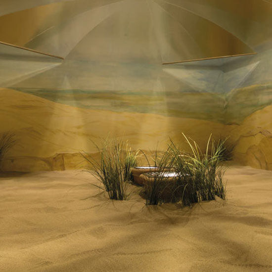 Ein Entspannungsraum mit Sandboden und dekorativem Dünengras, gestaltet wie eine Dünenlandschaft. In der Mitte steht ein rundes Holzpodest, umgeben von warmem Licht. Die Wände zeigen ein Panorama mit Strandmotiv.