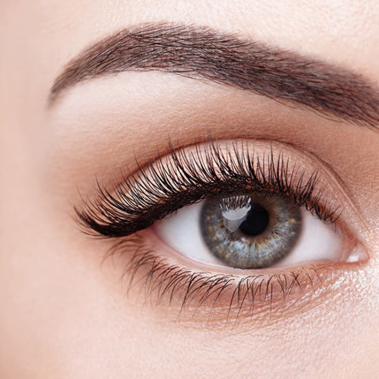 Nahaufnahme eines geschminkten Auges mit perfekt geformter Augenbraue und langen, dichten Wimpern.